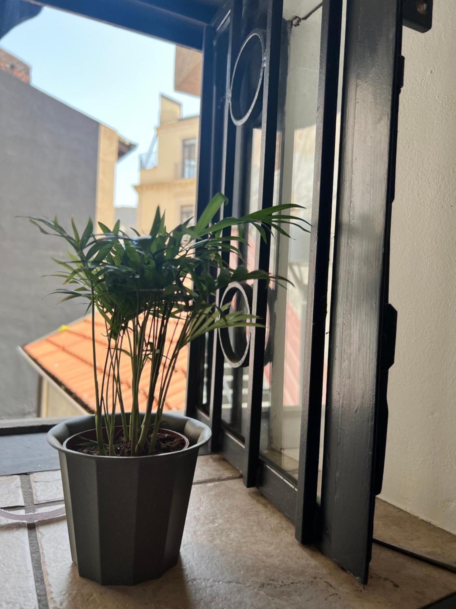 Catania,Sicilia,Italia Barcaioli'S Home Экстерьер фото